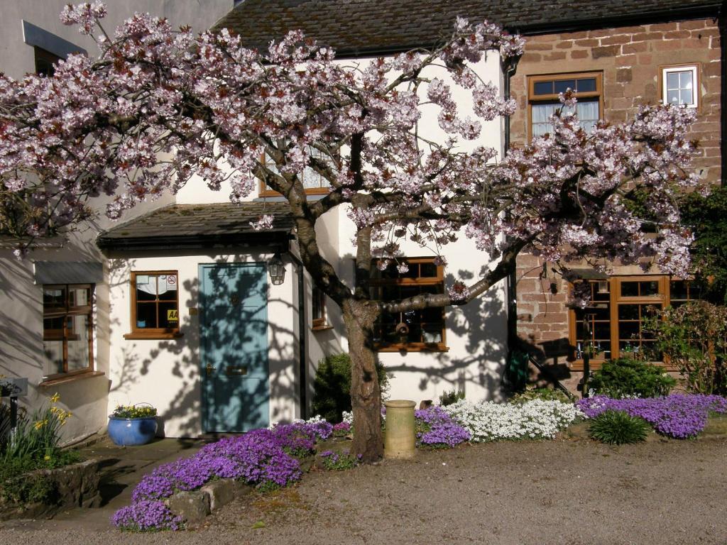 Lea House Bed And Breakfast Ross-on-Wye Екстер'єр фото