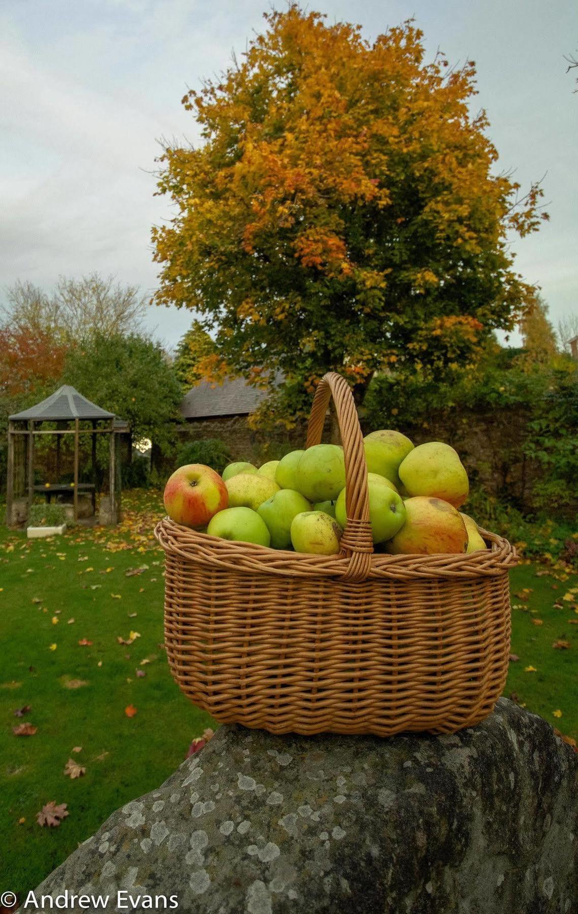 Lea House Bed And Breakfast Ross-on-Wye Екстер'єр фото